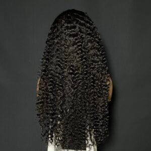 Vietnamese Raw 5x5 HD Closure Burmese Curly Wig